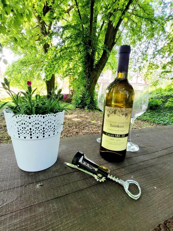 Chateau Moravany - Apartmany, Teepee A Wellness Ronow an der Doubrava Exterior foto